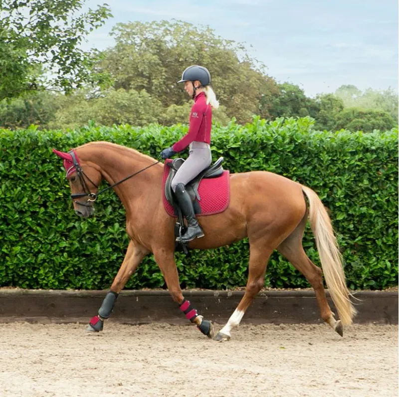 Hy Sport Active Brushing Boots - Vivid Merlot-1